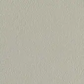 Light gray pebbled texture with a matte finish, displaying a uniform, granular pattern and subtle tonal variations resembling leather.